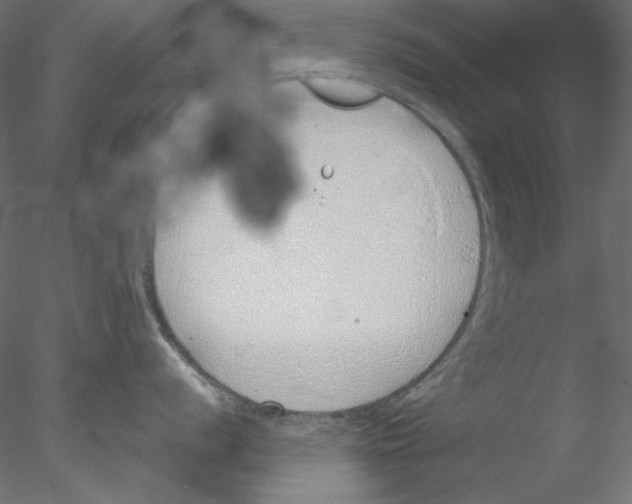 X0000076401056200611031717