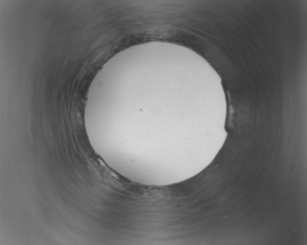 X0000076401058200611031716