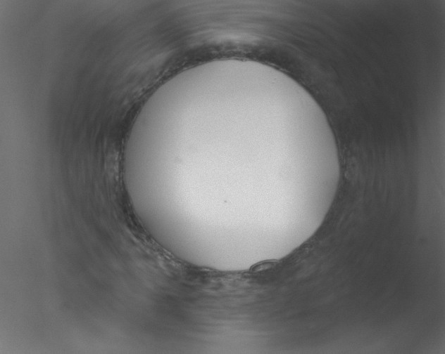 X0000076401061200611031716