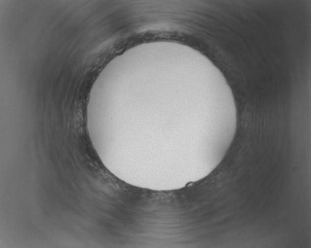 X0000076401062200611031716