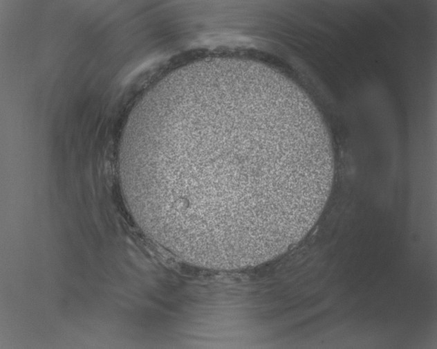 X0000076401063200611031716