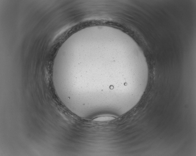 X0000076401064200611031716