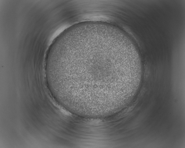 X0000076401071200611031716