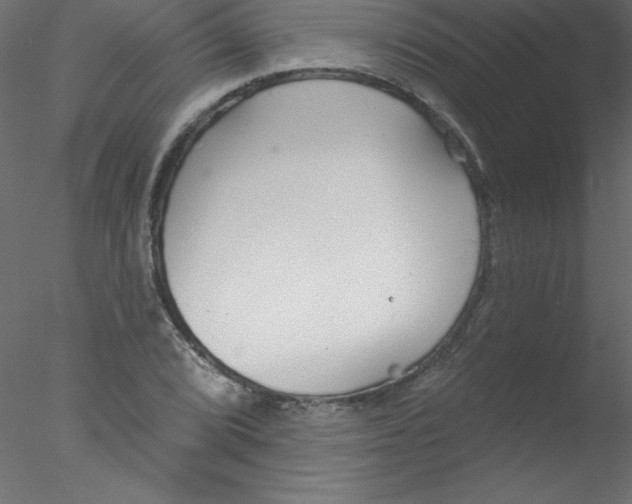 X0000076401072200611031716