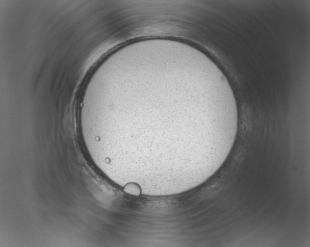 X0000076401078200611031716