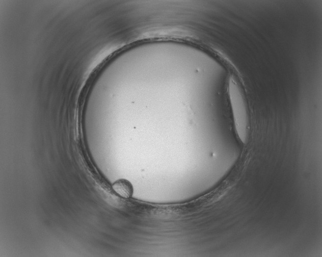 X0000076401079200611031716