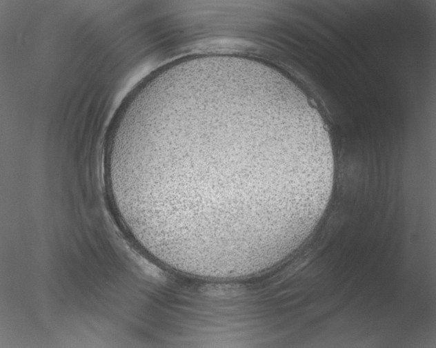 X0000076401083200611031715