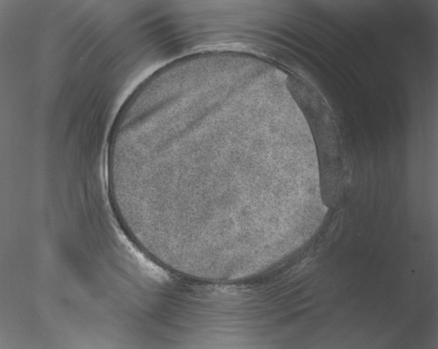 X0000076401084200611031715