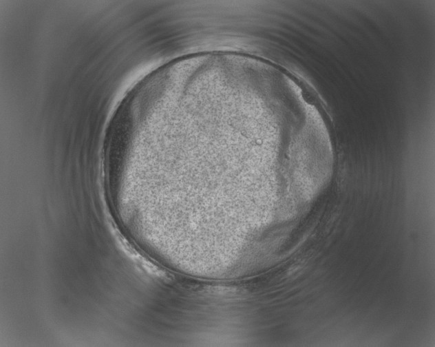 X0000076401088200611031715