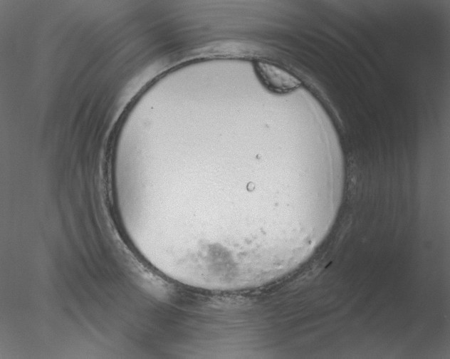 X0000076401091200611031715