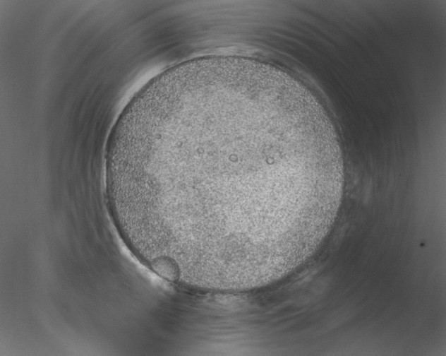 X0000076401095200611031715