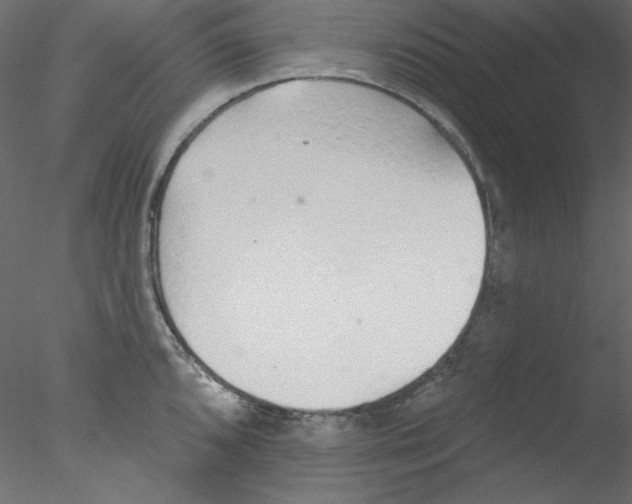 X0000076401096200611031715