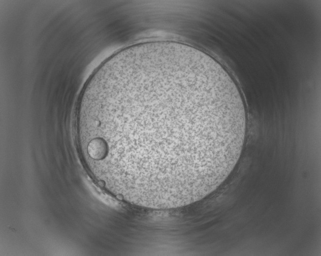 X0000076401098200611031715