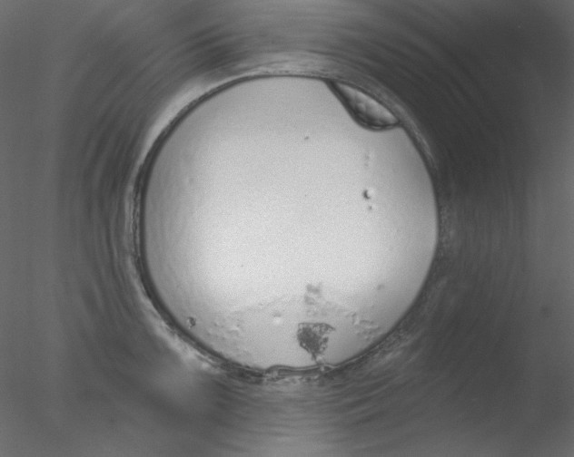 X0000076401099200611031715