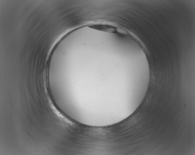 X0000076401100200611031715