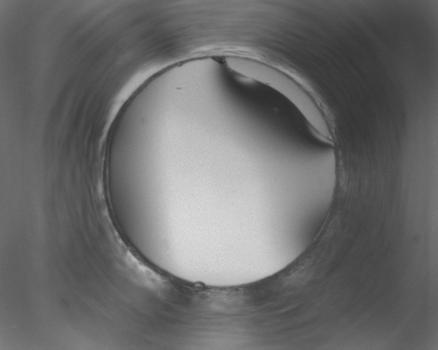 X0000076401102200611031715