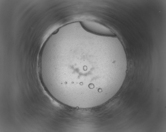 X0000076401103200611031715