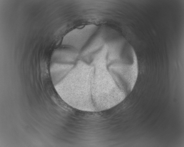 X0000076401106200611031714