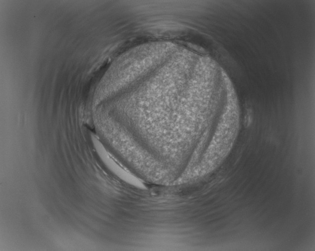 X0000076401108200611031714