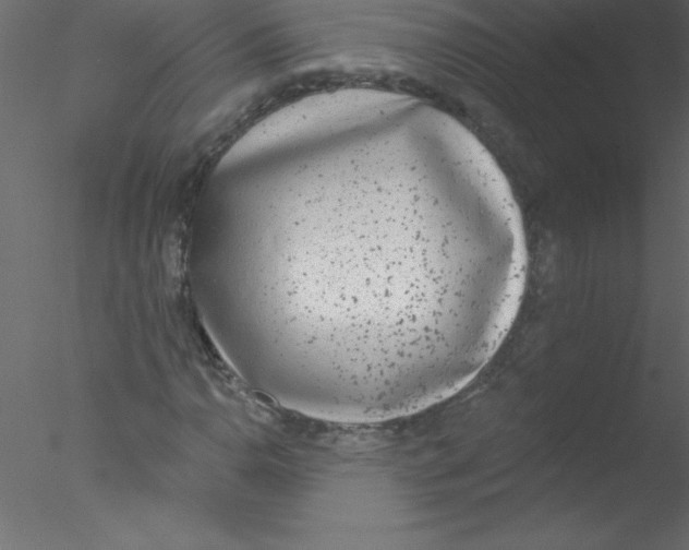 X0000076401110200611031714