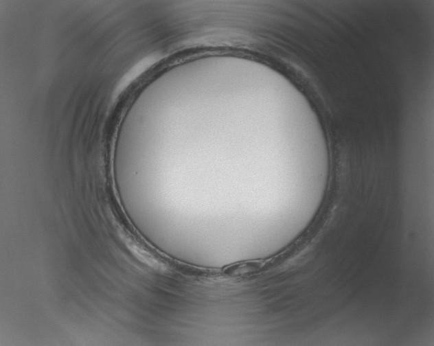 X0000076401114200611031714