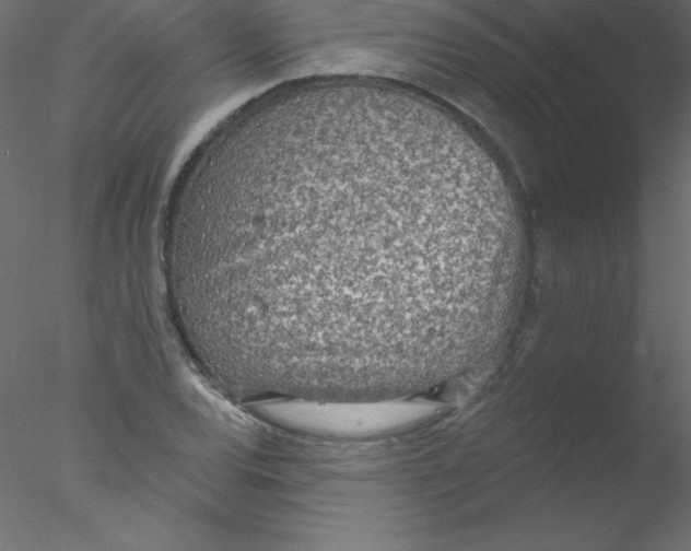 X0000076401120200611031715