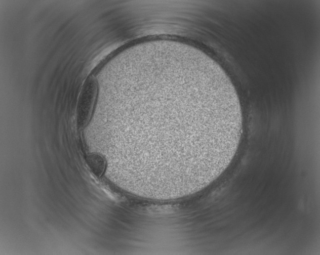 X0000076401121200611031715