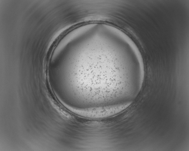 X0000076401124200611031715