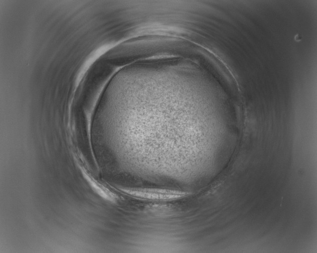 X0000076401128200611031715