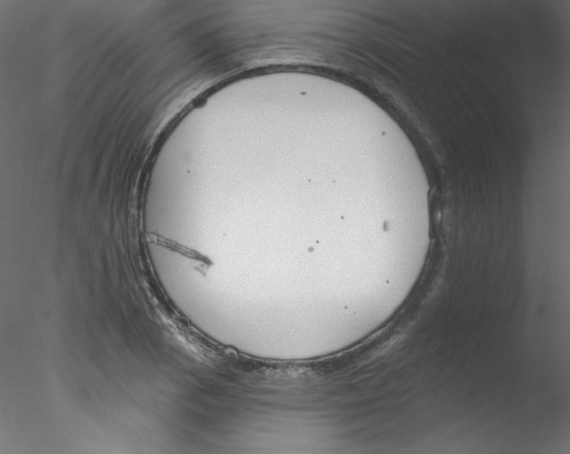 X0000076401129200611031715