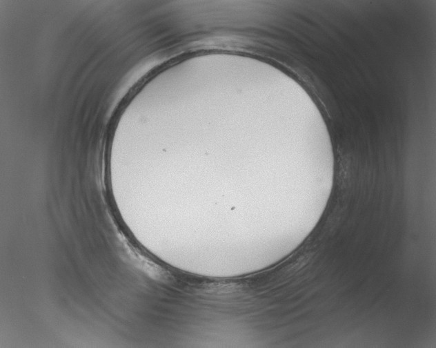 X0000076401131200611031715