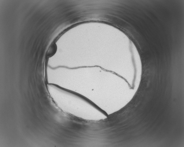 X0000076401132200611031715