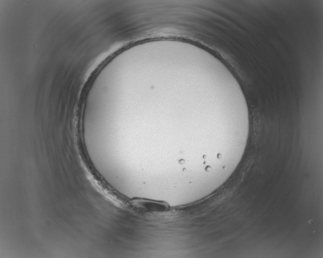 X0000076401134200611031715