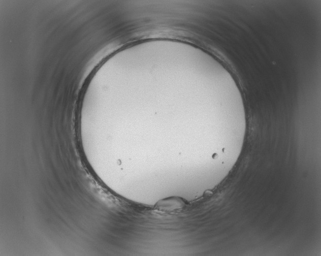 X0000076401138200611031715