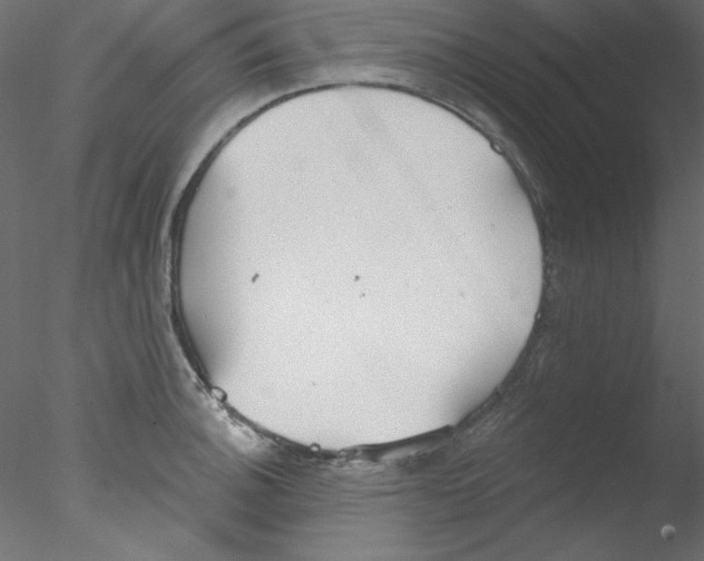 X0000076401140200611031715