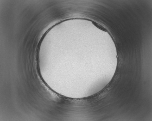 X0000076401142200611031715