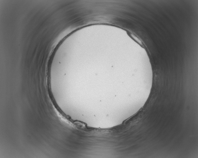 X0000076401143200611031715