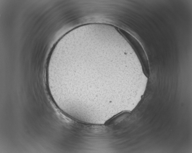 X0000076401144200611031715