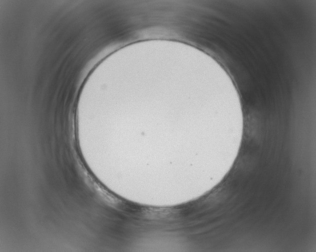 X0000076401150200611031715