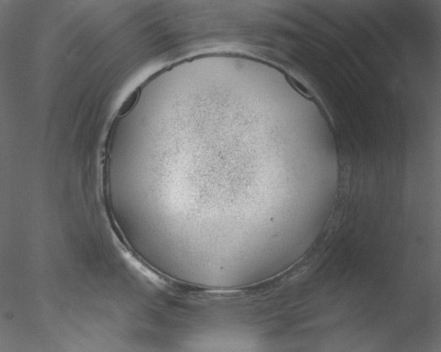 X0000076401151200611031715