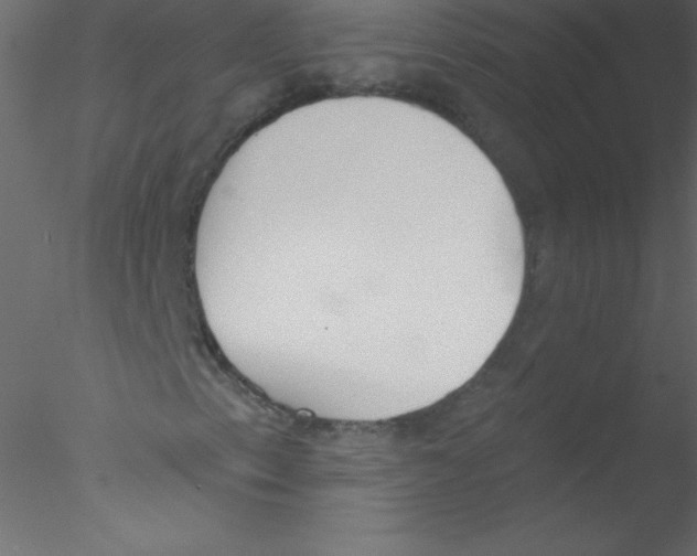 X0000076401153200611031714