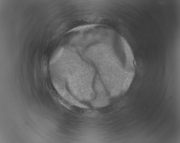 X0000076401154200611031714