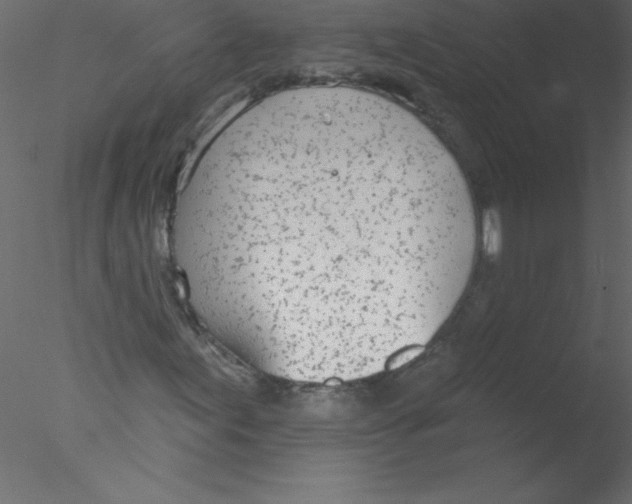 X0000076401155200611031714