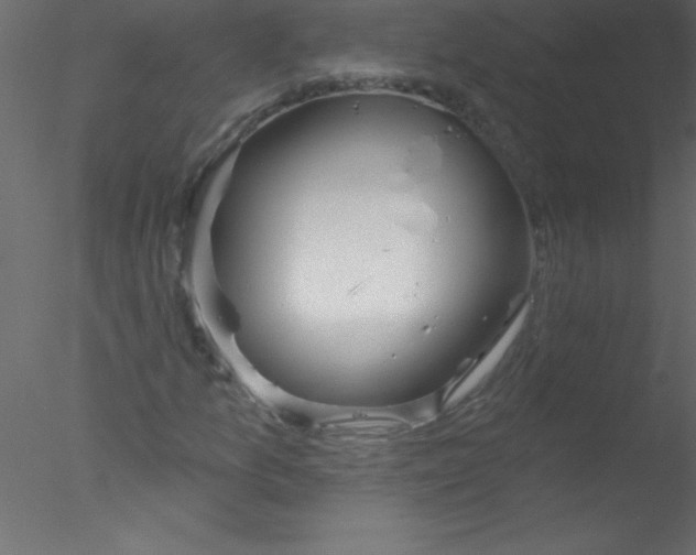 X0000076401157200611031714