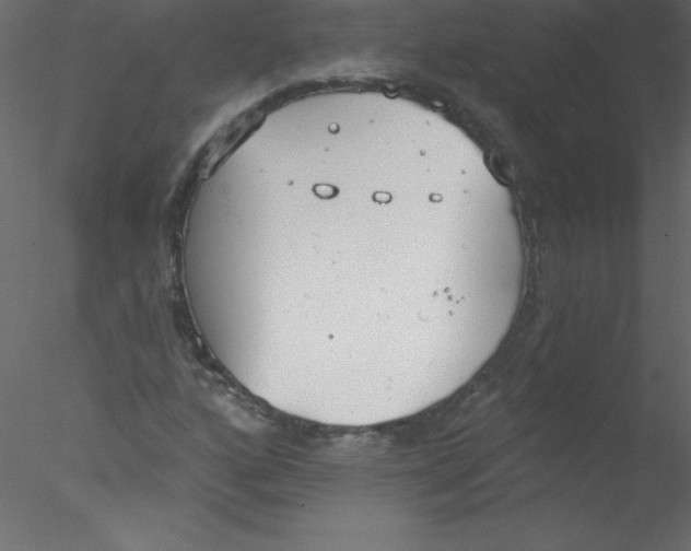 X0000076401160200611031714