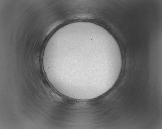 X0000076401162200611031714