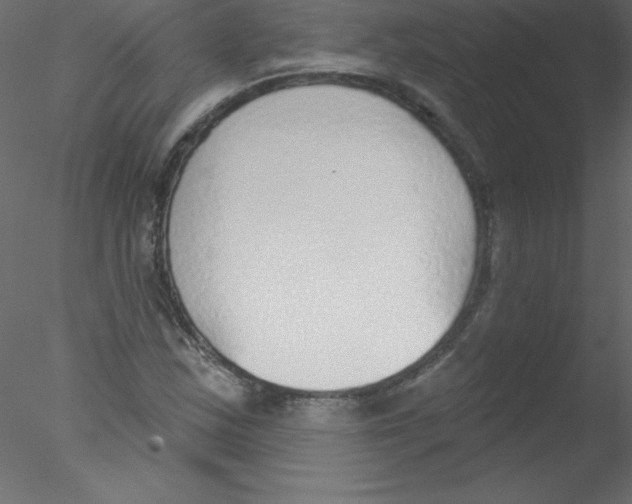 X0000076401163200611031714