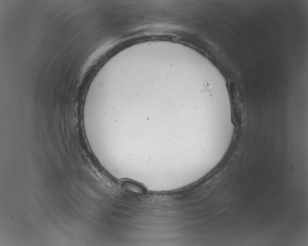 X0000076401164200611031714