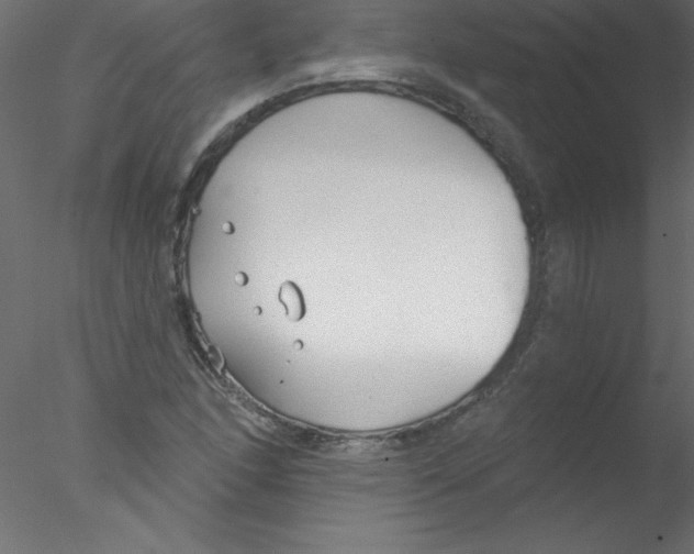 X0000076401166200611031714