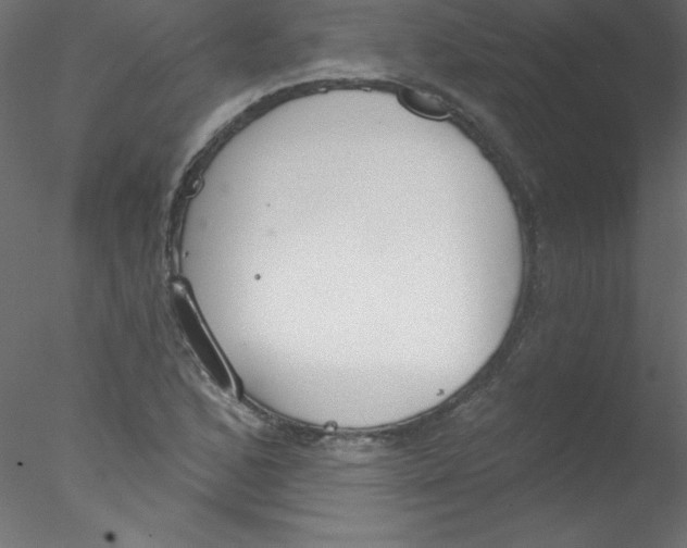 X0000076401168200611031714